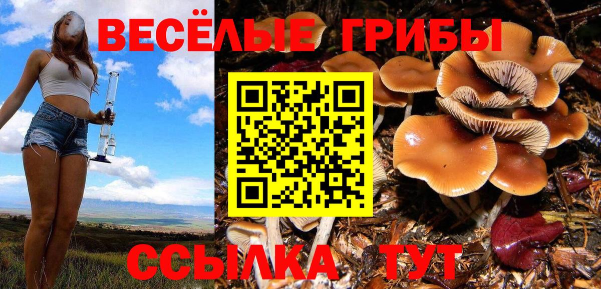 Галлюциногенные грибы ЛСД Златоуст