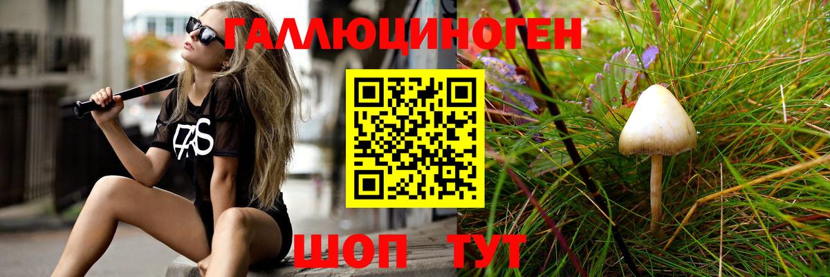 Златоуст  Галлюциногенные грибы прущие грибы  Псилоцибиновые грибы Cubensis  Вход с VPN 
